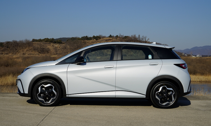 BYD 돌핀 측면 프로필